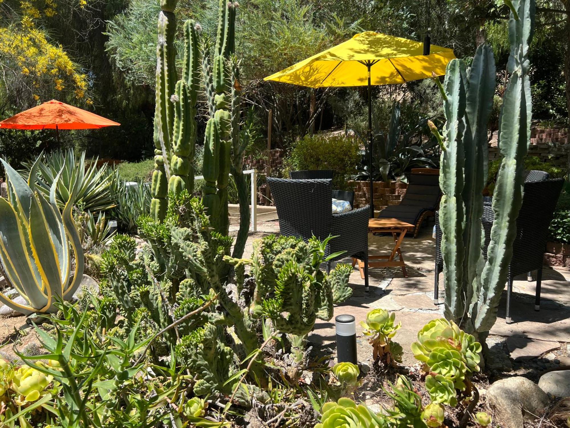 Villa La Reforma - Newly Designed 4Br House & Pool In Los Angeles By Topanga Luaran gambar